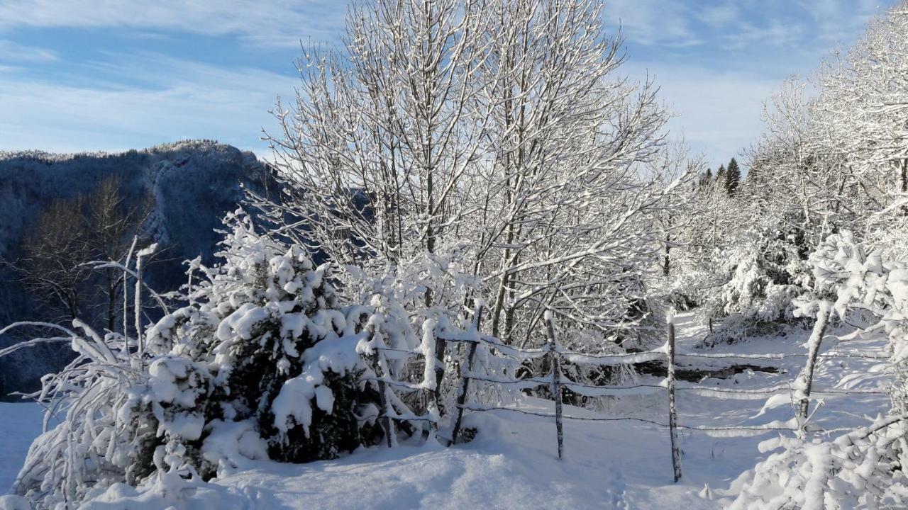 Au Coeur Du Lapidaire Septmoncel-Les-Molunes Luaran gambar