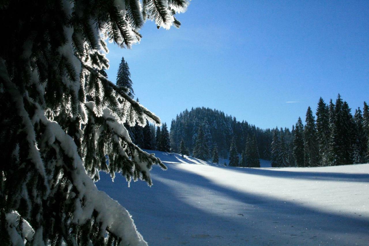 Au Coeur Du Lapidaire Septmoncel-Les-Molunes Luaran gambar