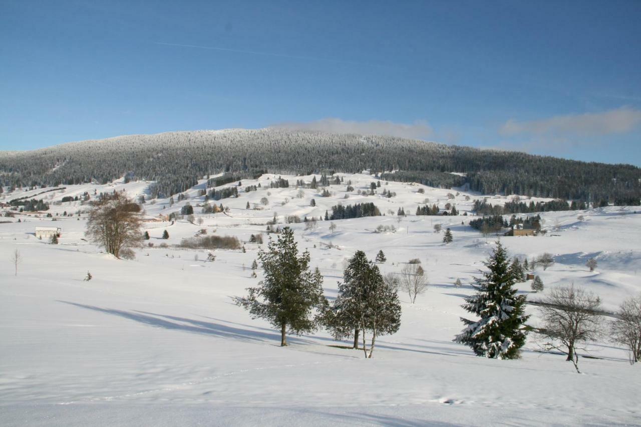 Au Coeur Du Lapidaire Septmoncel-Les-Molunes Luaran gambar