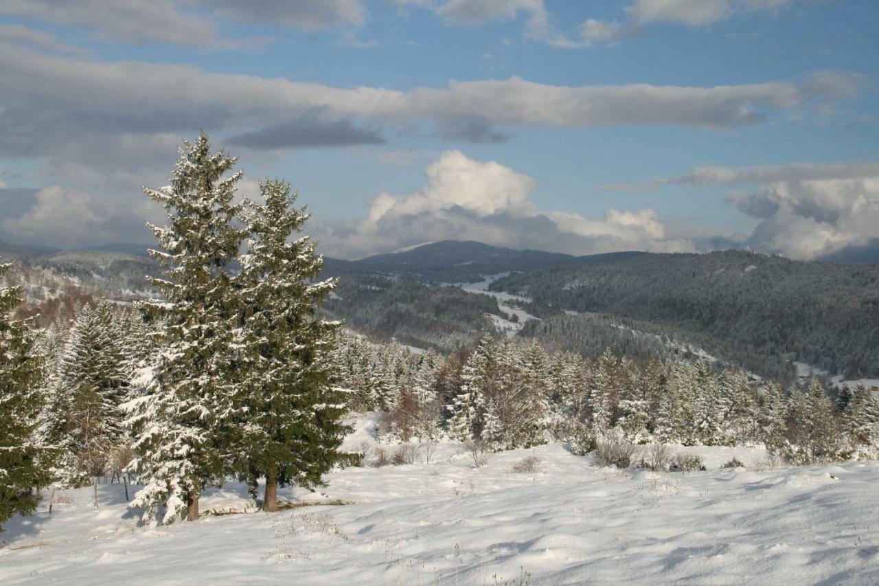 Au Coeur Du Lapidaire Septmoncel-Les-Molunes Luaran gambar