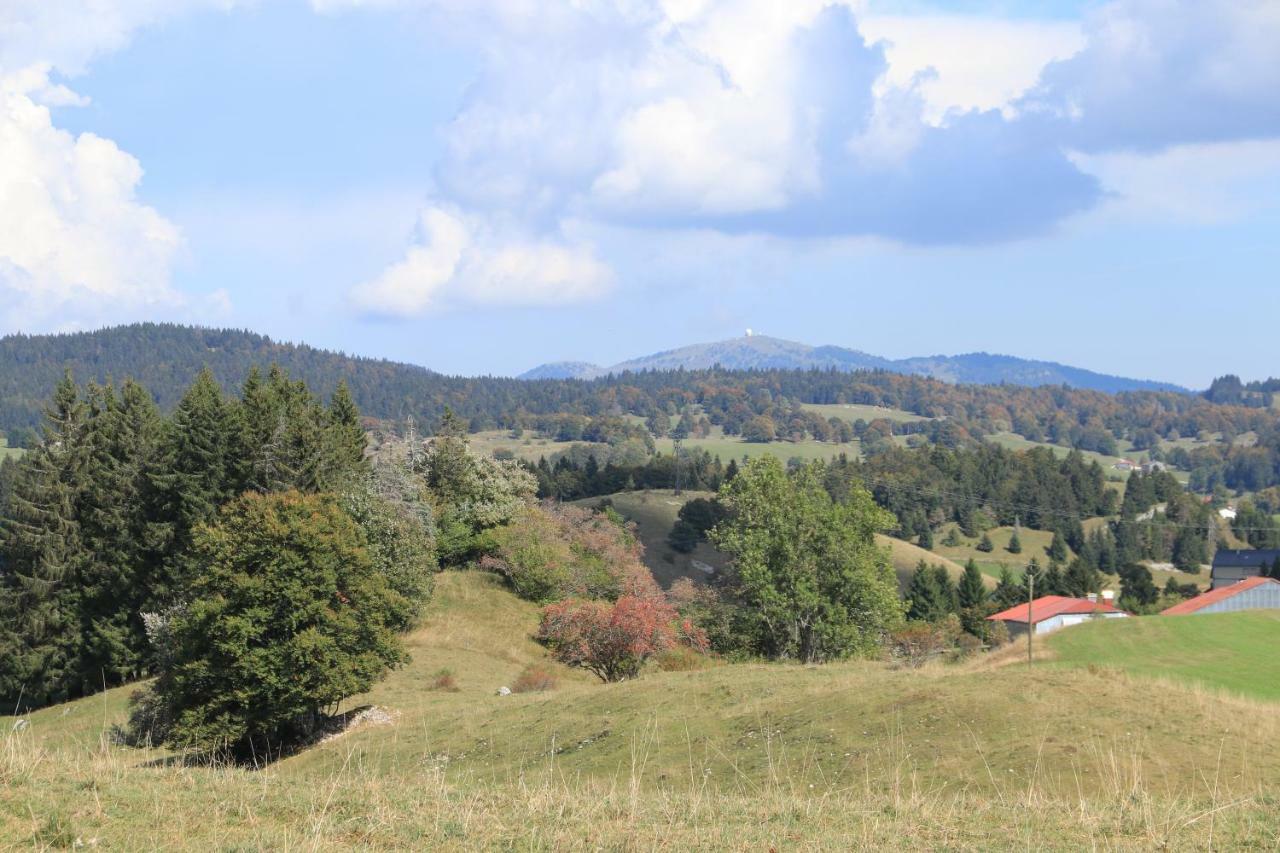 Au Coeur Du Lapidaire Septmoncel-Les-Molunes Luaran gambar