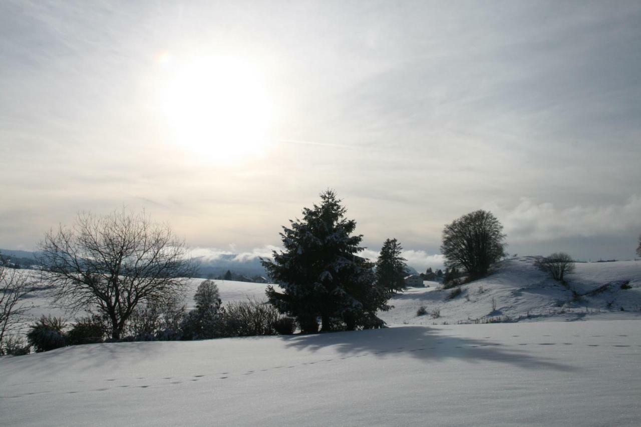 Au Coeur Du Lapidaire Septmoncel-Les-Molunes Luaran gambar