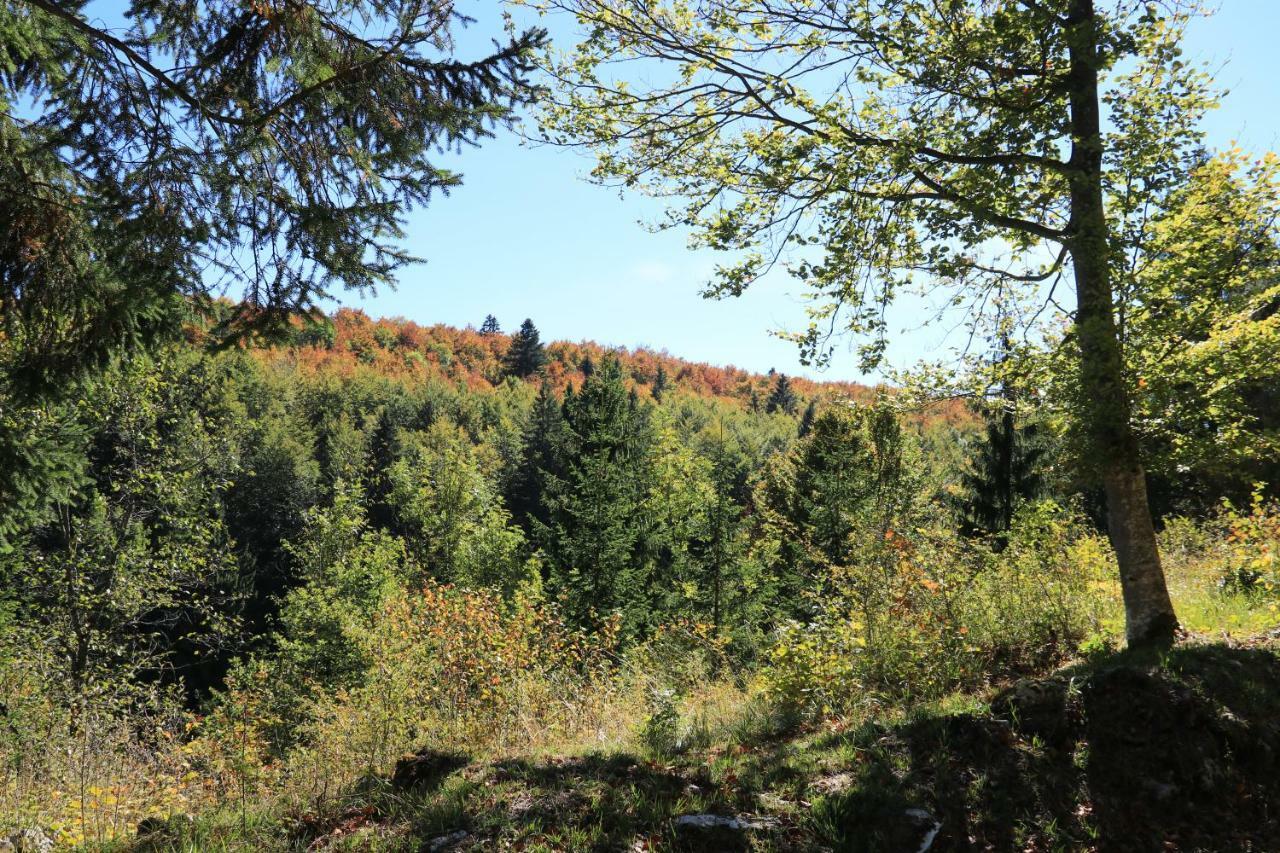 Au Coeur Du Lapidaire Septmoncel-Les-Molunes Luaran gambar